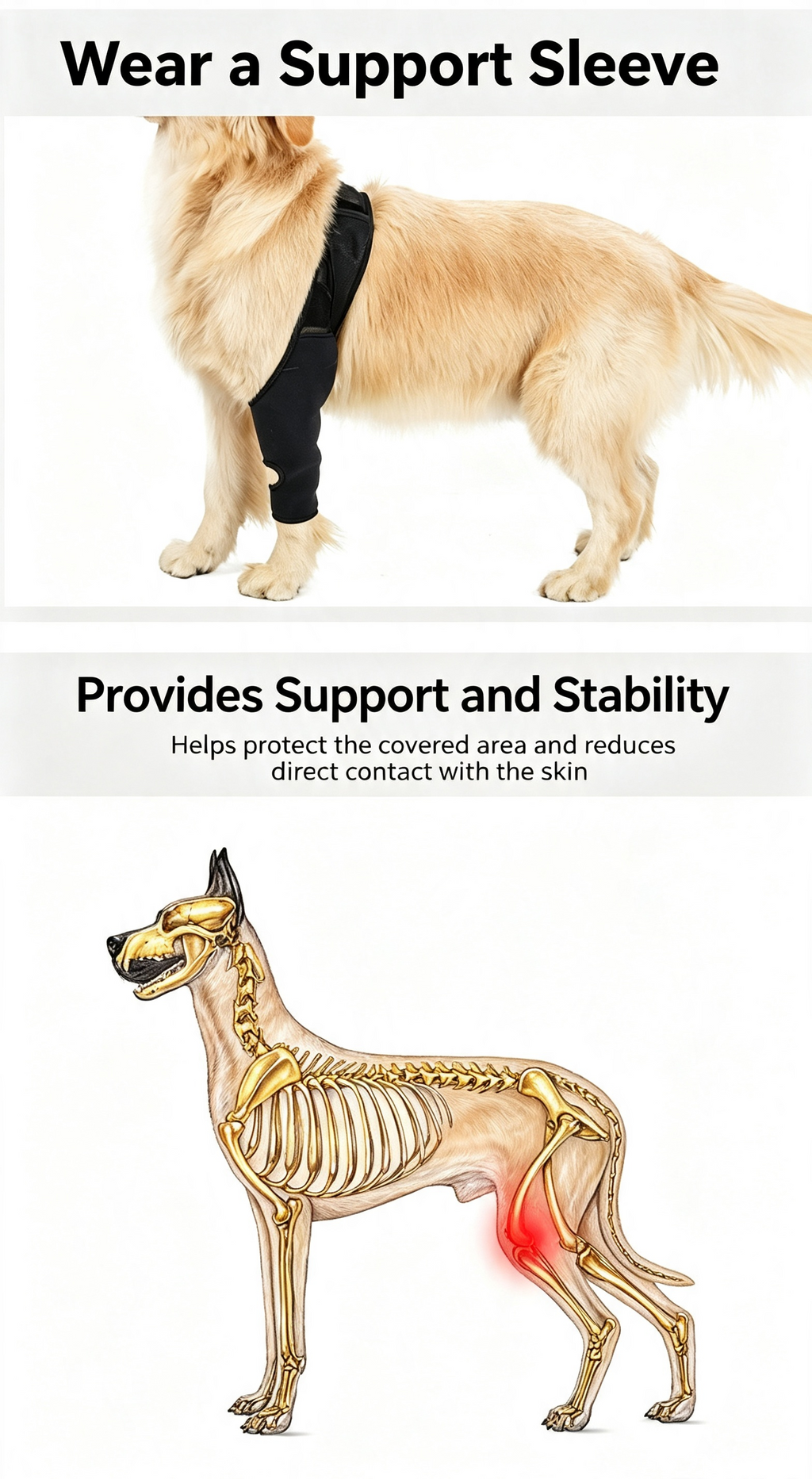 Adjustable Dog Leg Joint Knee Brace, Neoprene Canine Leg Support Sleeve for Injury Recovery, Post Surgery Protection & Arthritis Relief, Fits All Four Legs