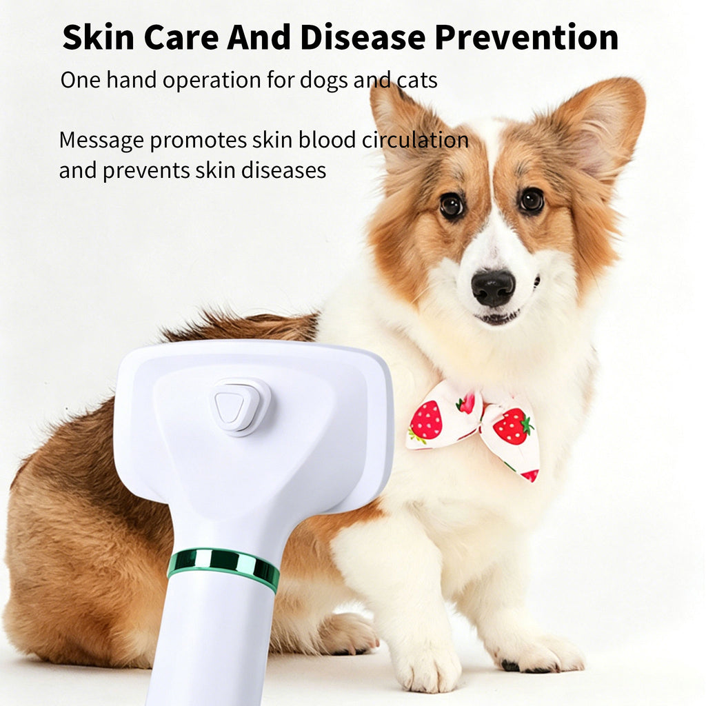 2‑in‑1 Pet Hair Dryer Brush, 300W Low‑Noise Hot Air Grooming Comb, 3 Speed Adjustable, Detangling & Drying Brush for Dogs & Cats, 110‑230V Multi‑Plug