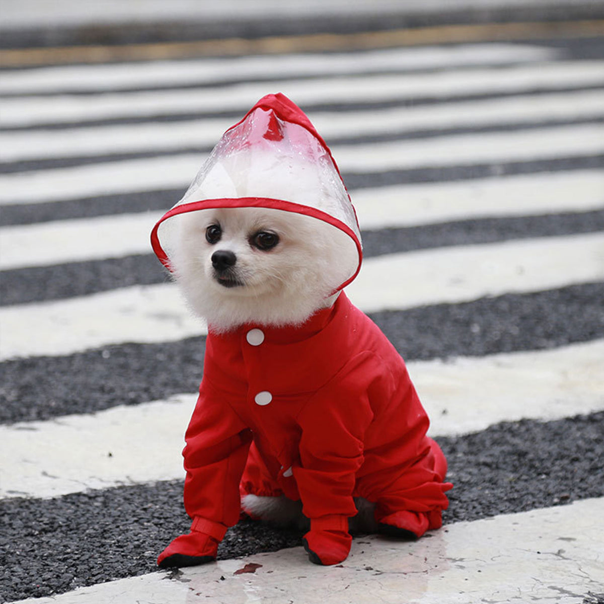 Full Coverage Dog Raincoat with Built-in Rain Boots, 360° Clear Visor, Detachable Tail Cover, Easy Snap Button Closure for Small Medium Dogs