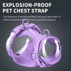 Anti-Escape Anti-Pull Dog Harness 4-Piece Set, Adjustable Breathable Pet Walking Kit with Collar, Leash & Poop Bag Dispenser, 15 Colors Available