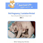 Disposable Pet Training Pads, Absorbent Puppy Pee Pads for Dogs & Cats, Leak-Proof Pet Underpads