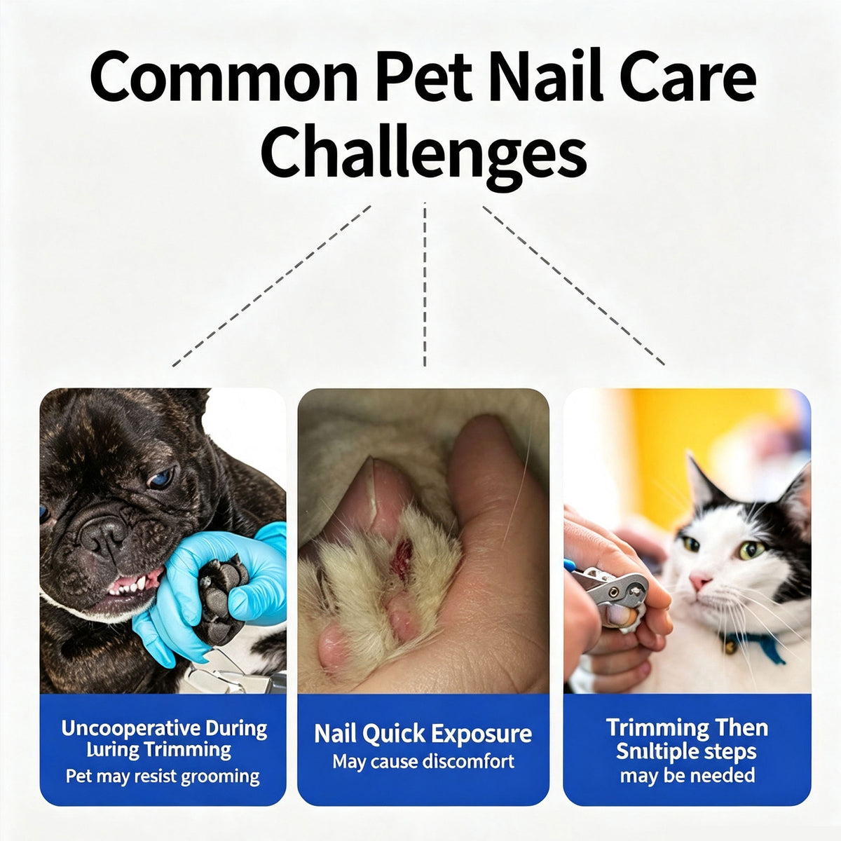 Rechargeable Electric Pet Nail Grinder, Low‑Vibration Quiet Nail Trimmer with Dual LED Lights, 2‑Speed for Dogs & Cats, Comes with 2 Extra Grinding Heads