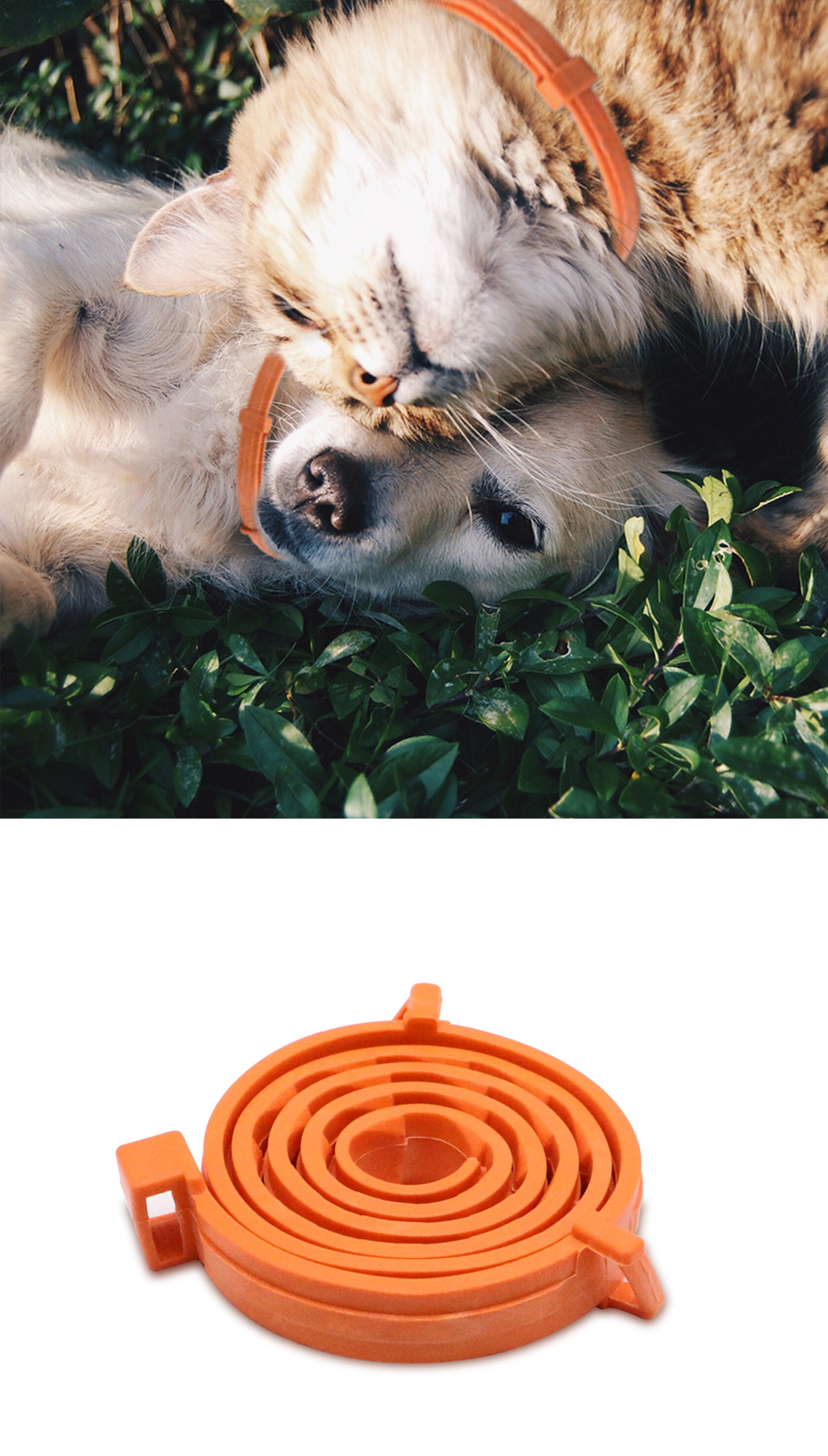 Pet Lavender Aroma Collar for Dogs & Cats, Waterproof Adjustable TPR Scent Collar Lasts Up To 60 Days