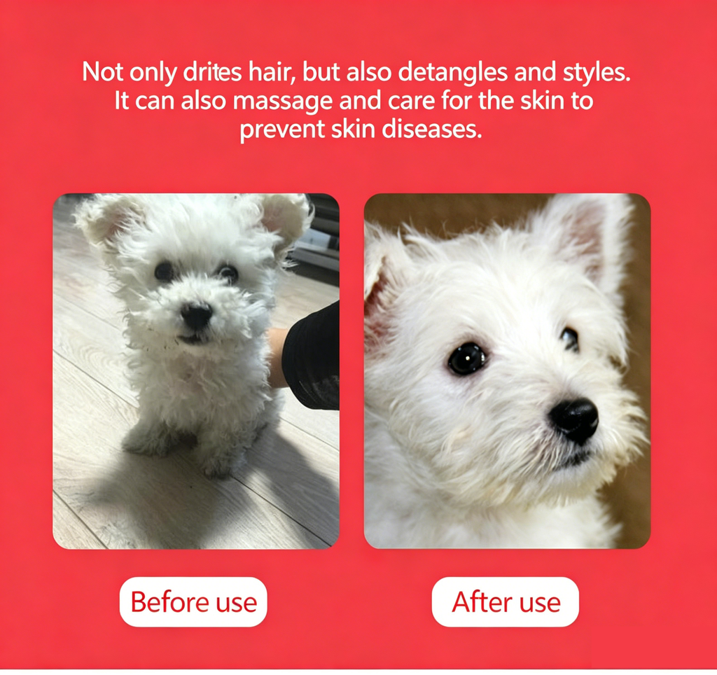 2‑in‑1 Pet Hair Dryer Brush, 300W Low‑Noise Hot Air Grooming Comb, 3 Speed Adjustable, Detangling & Drying Brush for Dogs & Cats, 110‑230V Multi‑Plug