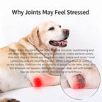 Adjustable Dog Leg Joint Knee Brace, Neoprene Canine Leg Support Sleeve for Injury Recovery, Post Surgery Protection & Arthritis Relief, Fits All Four Legs