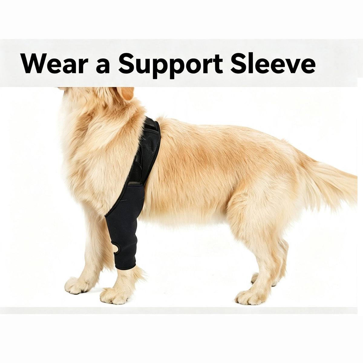 Adjustable Dog Leg Joint Knee Brace, Neoprene Canine Leg Support Sleeve for Injury Recovery, Post Surgery Protection & Arthritis Relief, Fits All Four Legs