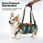 Full Body Support Dog Lift Harness | Mobility Aid for Senior, Injured & Disabled Dogs