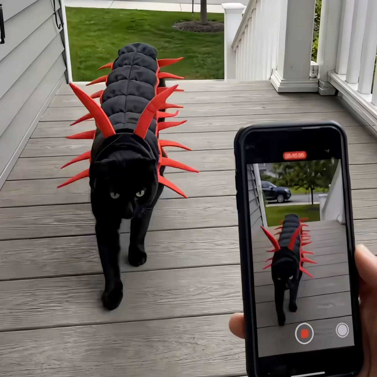 Centipede Cat Costume – Funny Halloween Outfit for Cats & Small Pets