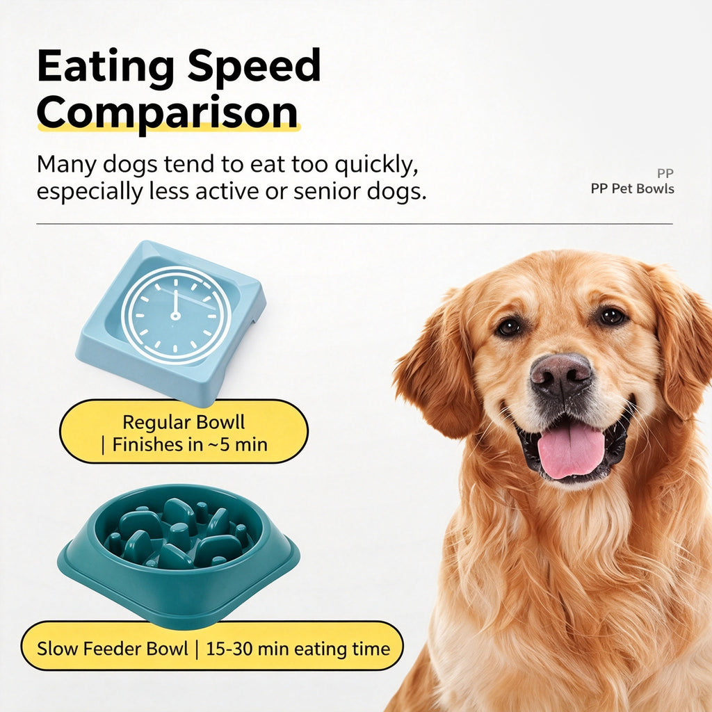 Slow Feeder Dog Bowl — Anti-Choke Pet Bowl with Non-Slip Base, Eco-Friendly PP, for Dogs & Cats