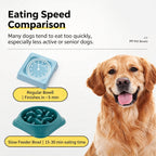 Slow Feeder Dog Bowl — Anti-Choke Pet Bowl with Non-Slip Base, Eco-Friendly PP, for Dogs & Cats