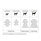 Interactive Dog Toy Ball, Shake & Chew Sound Making Toy for Indoor Outdoor Play, Enrichment Play Toy for Small Medium Large Dogs