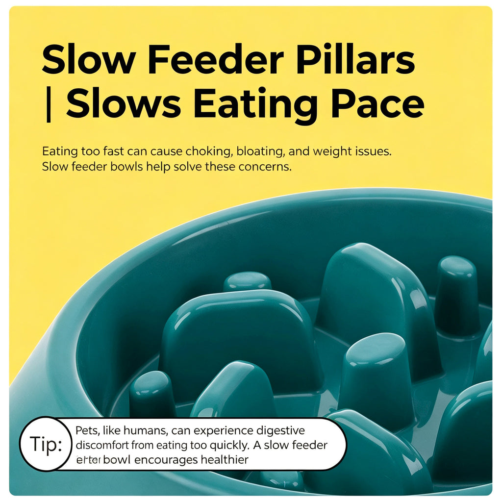 Slow Feeder Dog Bowl — Anti-Choke Pet Bowl with Non-Slip Base, Eco-Friendly PP, for Dogs & Cats