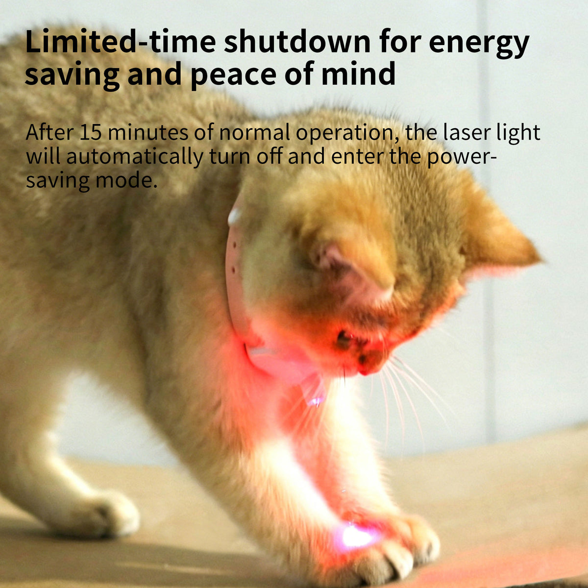 Automatic Laser Cat Collar | USB Rechargeable Interactive Kitten Play Toy