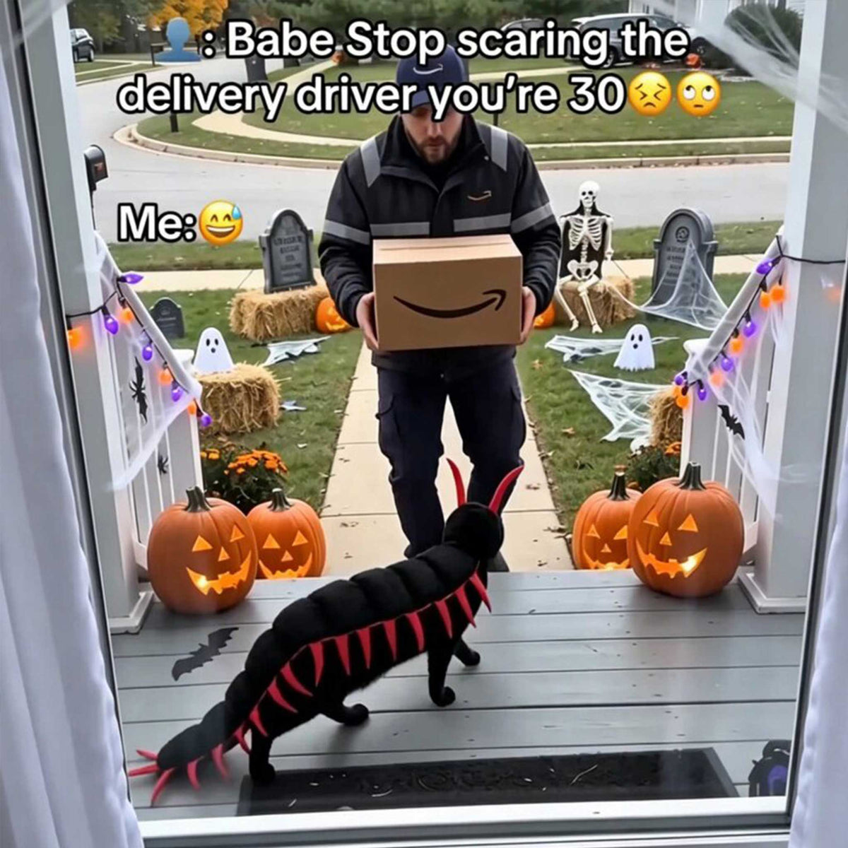 Centipede Cat Costume – Funny Halloween Outfit for Cats & Small Pets