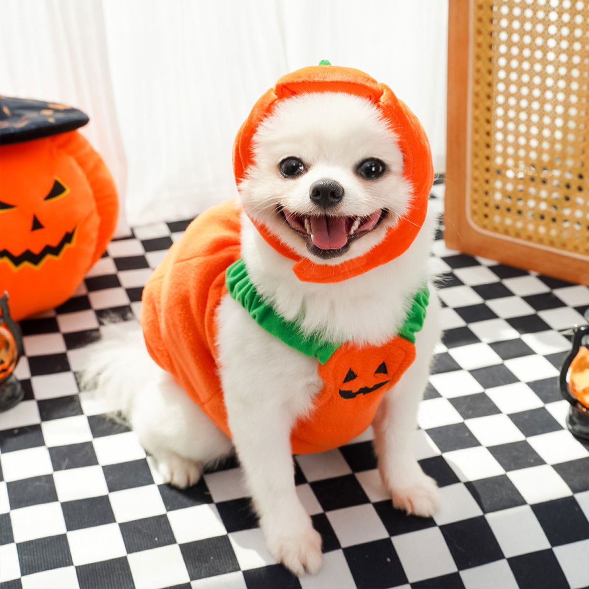Halloween Pumpkin Dog & Cat Costume Set – Soft Plush Vest + Hat