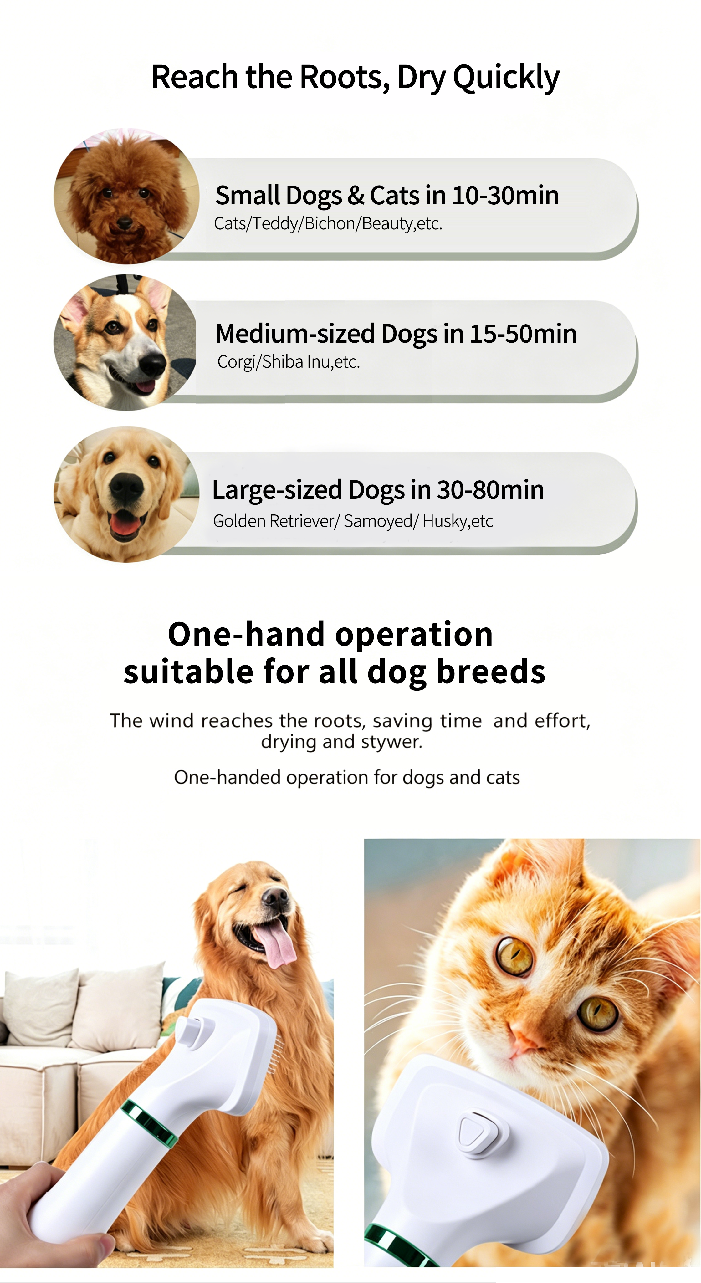2‑in‑1 Pet Hair Dryer Brush, 300W Low‑Noise Hot Air Grooming Comb, 3 Speed Adjustable, Detangling & Drying Brush for Dogs & Cats, 110‑230V Multi‑Plug