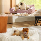 Luxury Removable Washable Mini Pet Sofa Couch, 3 Sizes Soft PP Cotton Sponge Dog Cat Bed