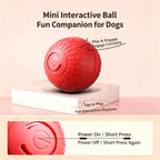 Interactive Automatic Rolling Dog Toy, USB‑C Rechargeable Moving Pet Ball for Small & Medium Dogs, Enrichment Play Toy for Indoor Outdoor Use