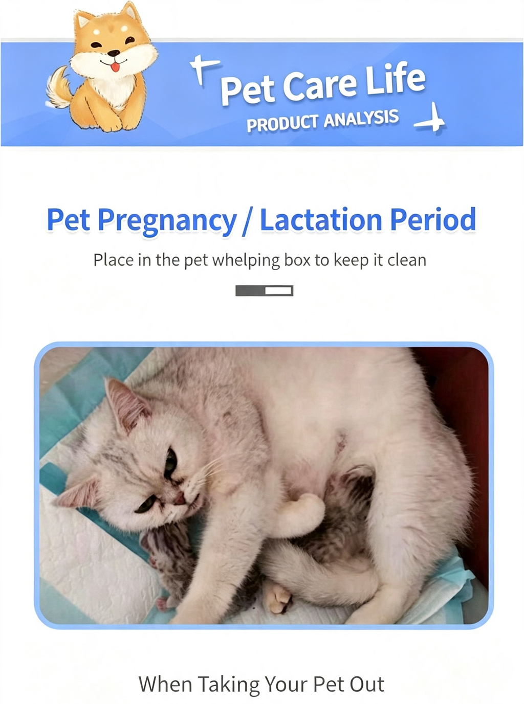 Disposable Pet Training Pads, Absorbent Puppy Pee Pads for Dogs & Cats, Leak-Proof Pet Underpads
