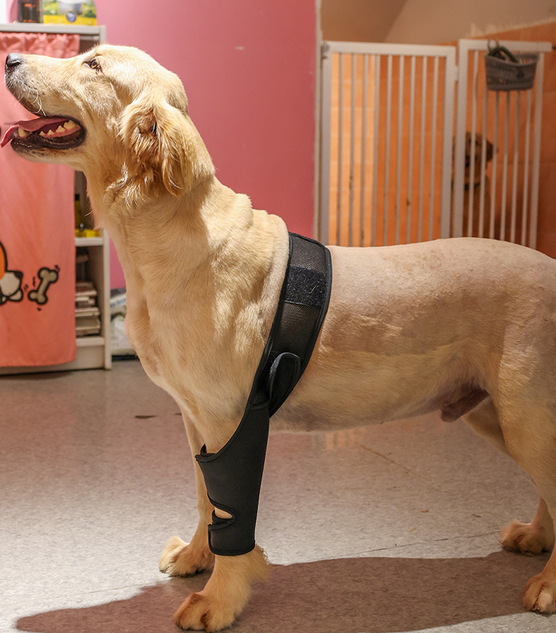 Adjustable Dog Leg Joint Knee Brace, Neoprene Canine Leg Support Sleeve for Injury Recovery, Post Surgery Protection & Arthritis Relief, Fits All Four Legs