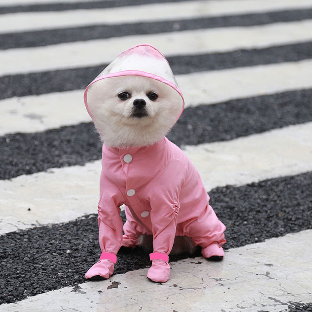 Full Coverage Dog Raincoat with Built-in Rain Boots, 360° Clear Visor, Detachable Tail Cover, Easy Snap Button Closure for Small Medium Dogs