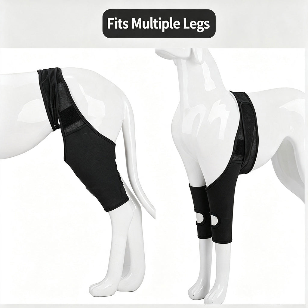 Adjustable Dog Leg Joint Knee Brace, Neoprene Canine Leg Support Sleeve for Injury Recovery, Post Surgery Protection & Arthritis Relief, Fits All Four Legs