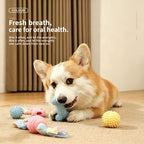 Dog TPR Chew Toy,Macaron Color Teething Stick,Durable Bite‑Resistant Dental Toy for Puppy & Adult Dog,Boredom Relief Interactive Toy