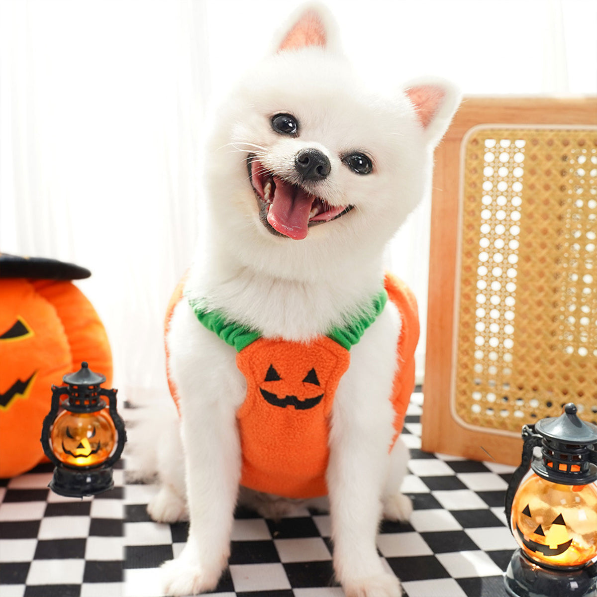 Halloween Pumpkin Dog & Cat Costume Set – Soft Plush Vest + Hat