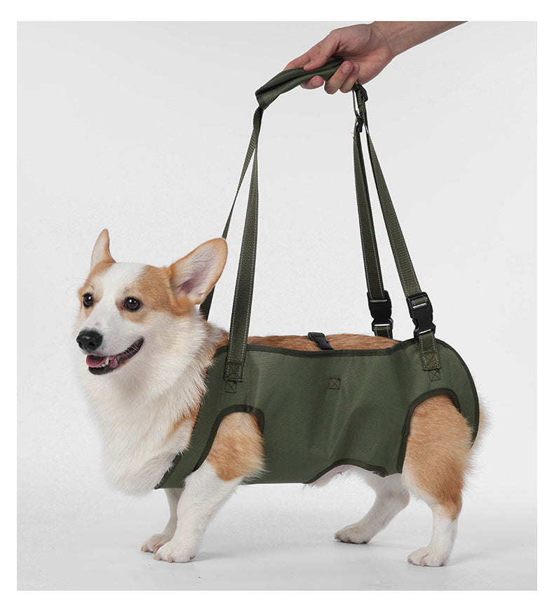 Full Body Support Dog Lift Harness | Mobility Aid for Senior, Injured & Disabled Dogs