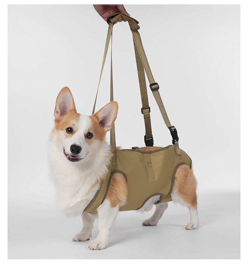 Full Body Support Dog Lift Harness | Mobility Aid for Senior, Injured & Disabled Dogs