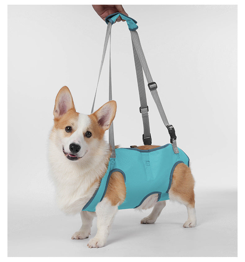 Full Body Support Dog Lift Harness | Mobility Aid for Senior, Injured & Disabled Dogs