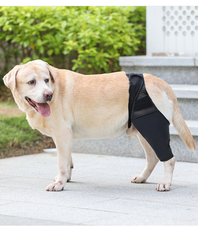Adjustable Dog Leg Joint Knee Brace, Neoprene Canine Leg Support Sleeve for Injury Recovery, Post Surgery Protection & Arthritis Relief, Fits All Four Legs