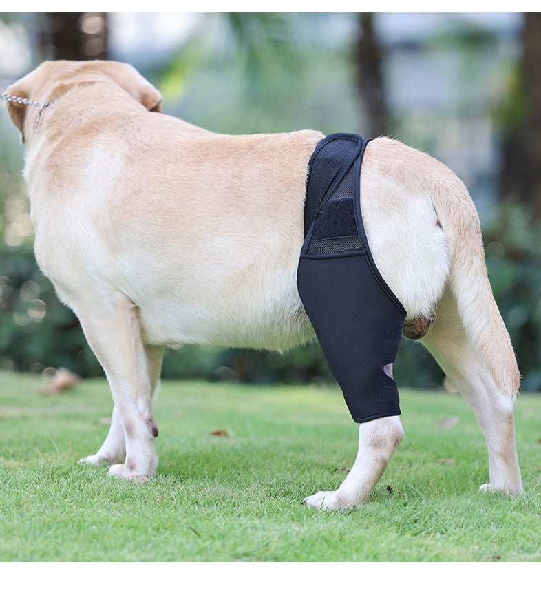 Adjustable Dog Leg Joint Knee Brace, Neoprene Canine Leg Support Sleeve for Injury Recovery, Post Surgery Protection & Arthritis Relief, Fits All Four Legs