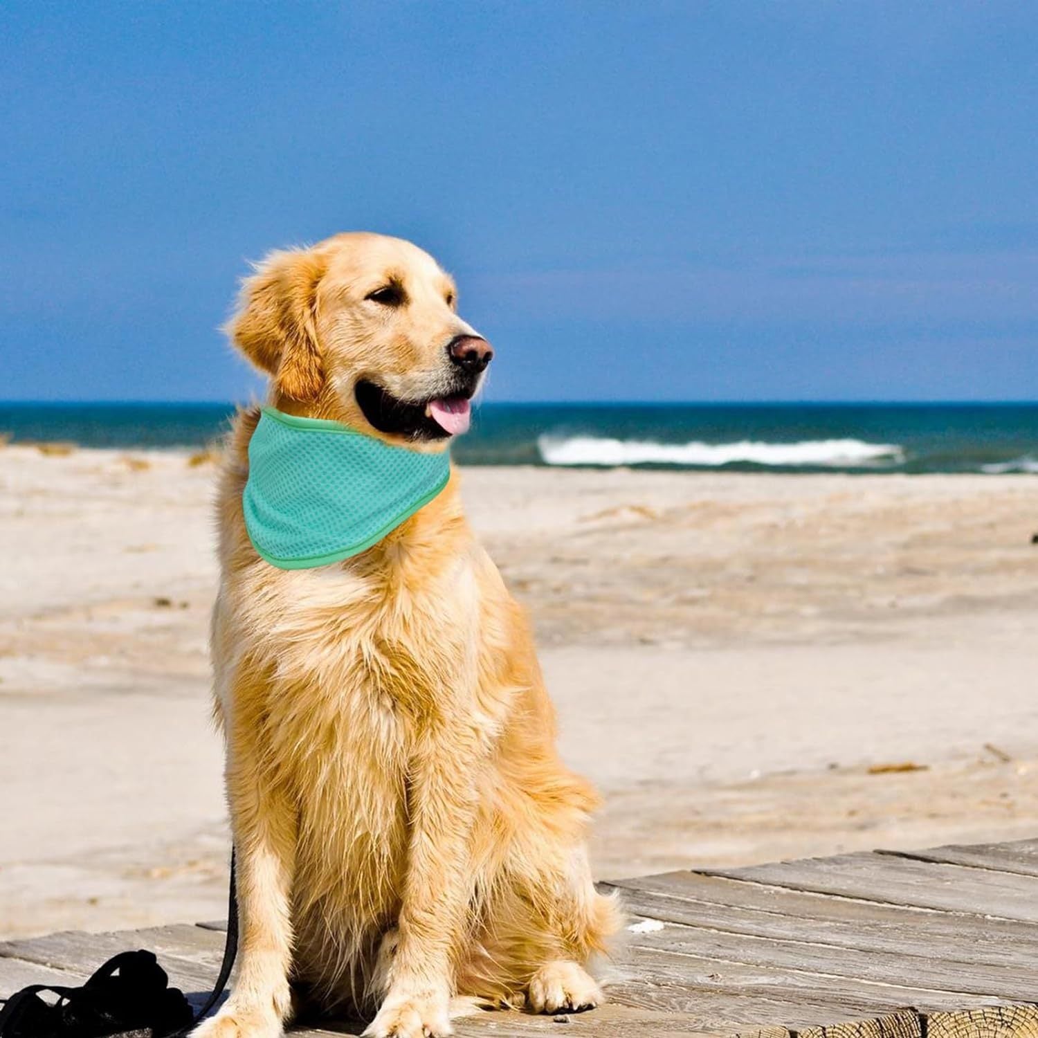 Adjustable Pet Cooling Neck Scarf, Reusable Evaporative Cool Wrap for Dogs & Cats, Velcro Fastener, Multi‑Purpose Neck or Head Wear, S/M/L Sizes