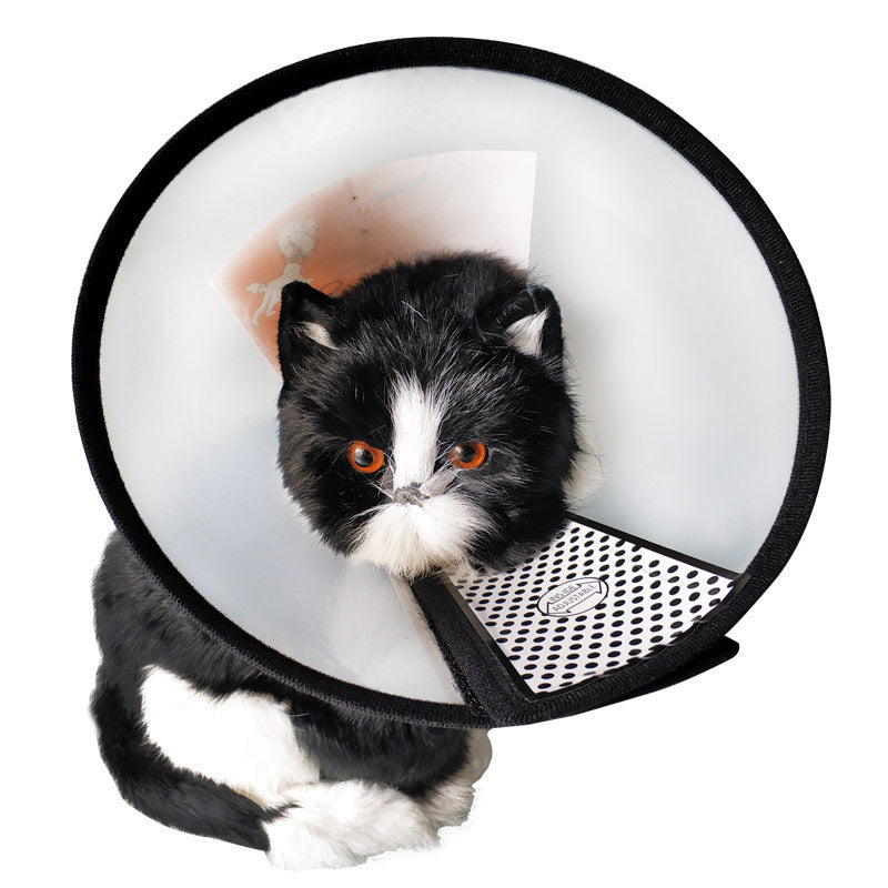 Transparent Elizabethan E‑Collar, Adjustable Recovery Cone for Dogs & Cats, 9 Sizes Available