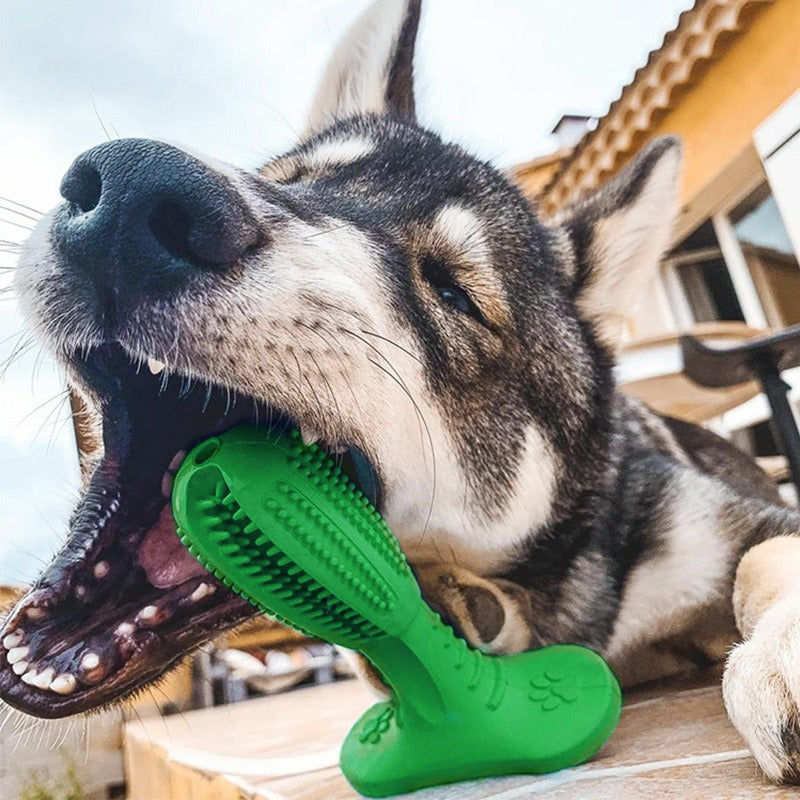 Durable Rubber Dog Chew Stick, Safe Teething Toy, Teeth Cleaning Interactive Play Toy for Medium Large Dogs