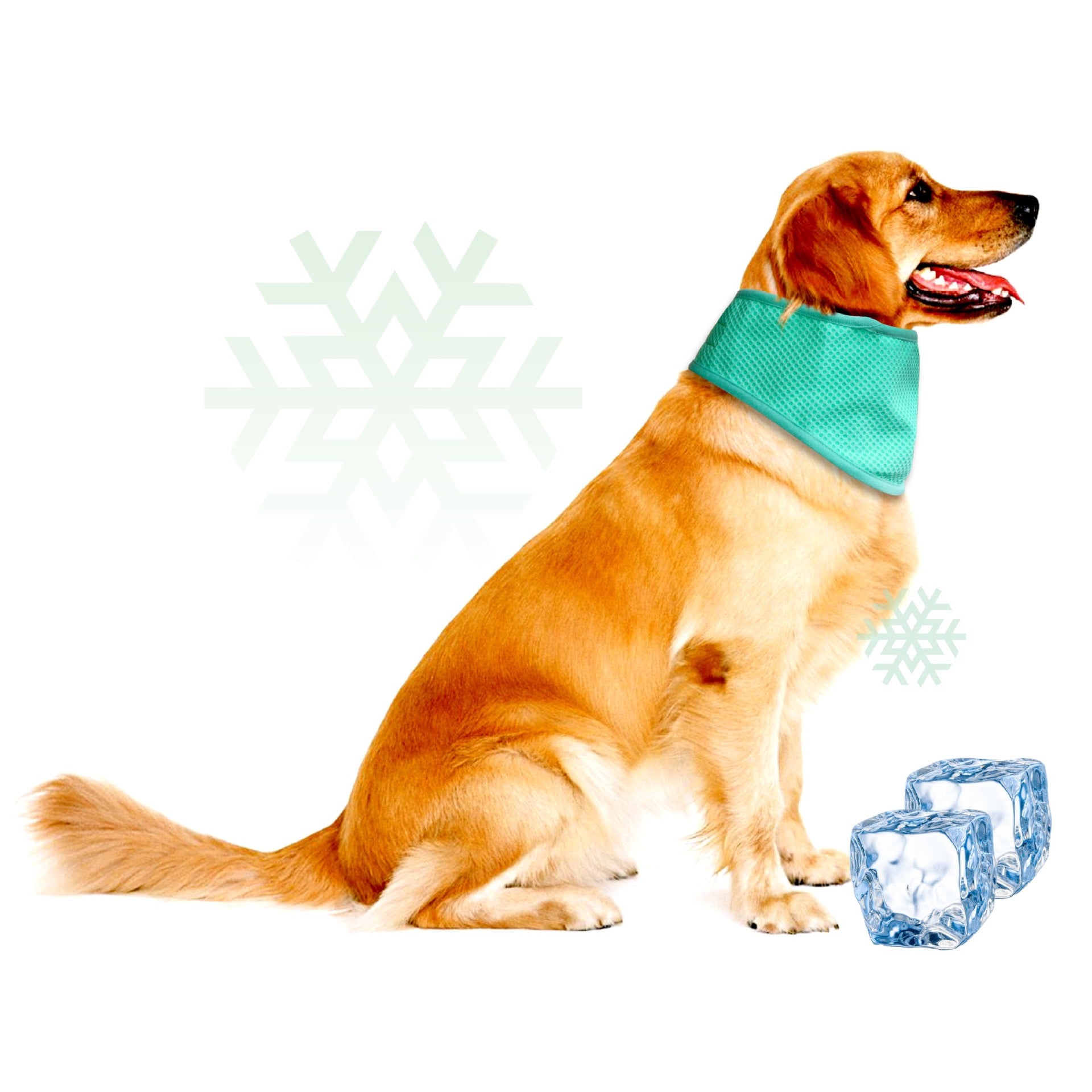 Adjustable Pet Cooling Neck Scarf, Reusable Evaporative Cool Wrap for Dogs & Cats, Velcro Fastener, Multi‑Purpose Neck or Head Wear, S/M/L Sizes